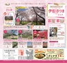 Miyan vol.38