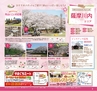 Miyan vol.38