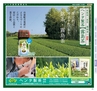 Miyan vol.39