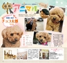 Miyan vol.39