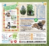 Miyan(みやん)2012年vol.4　ルックル
