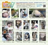 Miyan(みやん)2012年vol.4　ルックル