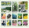 Miyan(みやん)2012年vol.4　ルックル