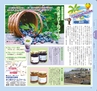 Miyan(みやん)2012年vol.4　ルックル