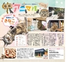 Miyan vol.40