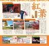 Miyan vol.42