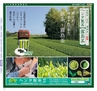 Miyan vol.42