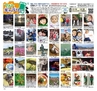 Miyan vol.43