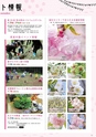 Miyan vol.44