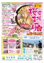 Miyan vol.44