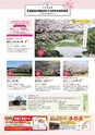 Miyan vol.44