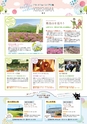 Miyan vol.45