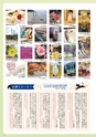 Miyan vol.46