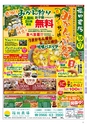 Miyan vol.48