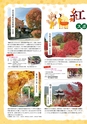 Miyan vol.48