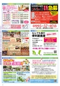 Miyan vol.51