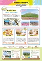 Miyan vol.51
