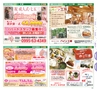 北薩・県央の素敵情報満載 Miyan(みやん)　ルックル
