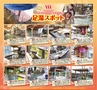 北薩・県央の素敵情報満載 Miyan(みやん)vol.7　ルックル
