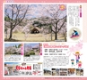 みやん　vol.8　ルックル
