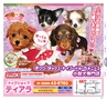 みやん　vol.8　ルックル