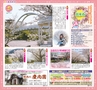 みやん　vol.8　ルックル