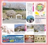 みやん　vol.8　ルックル