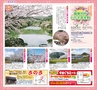 みやん　vol.8　ルックル