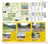 Miyan 5.6月号(ルックル)