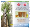 Miyan 5.6月号(ルックル)