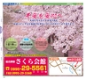 Miyan 5.6月号(ルックル)