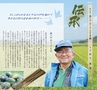 Miyan 5.6月号(ルックル)
