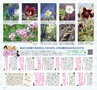 Miyan 5.6月号(ルックル)