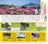 Miyan 5.6月号(ルックル)