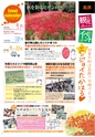 よかとこぃ 19号(ルックル)