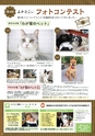 よかとこぃ　20号（ルックル）