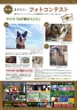 よかとこぃ 21号　(ルックル)