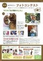よかとこぃ　2017年　22th