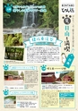 よかとこぃ　2017年　22th