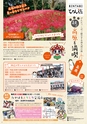 よかとこぃ23号