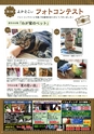 よかとこぃ23号