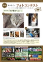 よかとこぃ　2018年　春号