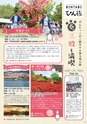 よかとこぃVol.29