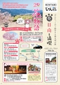 よかとこぃVol.29