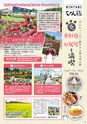 よかとこぃVol.29