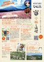 よかとこぃ　第31号