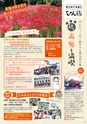 よかとこぃ　第31号