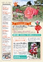 よかとこぃ　第31号