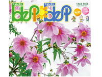 フォレストフォレスト