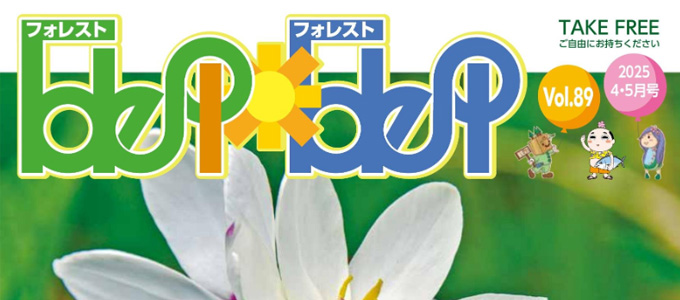 フォレストフォレスト最新号